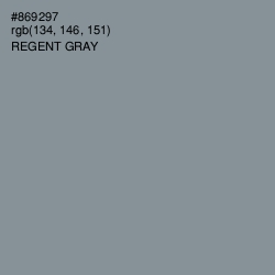 #869297 - Regent Gray Color Image