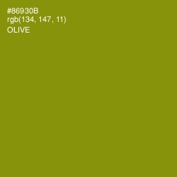 #86930B - Olive Color Image