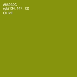 #86930C - Olive Color Image