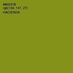 #86931B - Hacienda Color Image