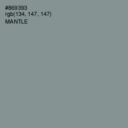 #869393 - Mantle Color Image