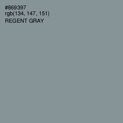 #869397 - Regent Gray Color Image