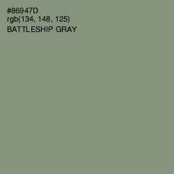 #86947D - Battleship Gray Color Image