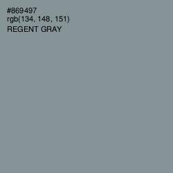 #869497 - Regent Gray Color Image