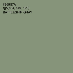 #86957A - Battleship Gray Color Image