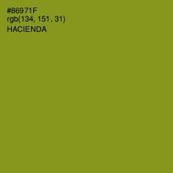 #86971F - Hacienda Color Image