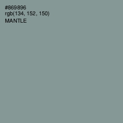 #869896 - Mantle Color Image