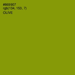 #869907 - Olive Color Image