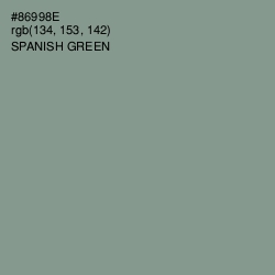 #86998E - Spanish Green Color Image