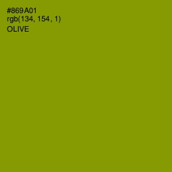 #869A01 - Olive Color Image