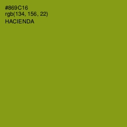 #869C16 - Hacienda Color Image