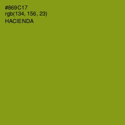 #869C17 - Hacienda Color Image