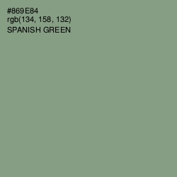 #869E84 - Spanish Green Color Image