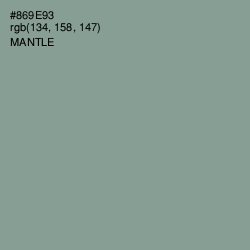 #869E93 - Mantle Color Image