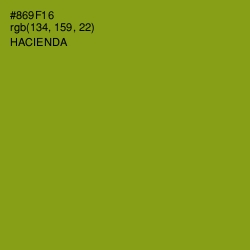 #869F16 - Hacienda Color Image