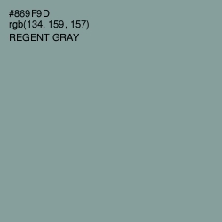#869F9D - Regent Gray Color Image