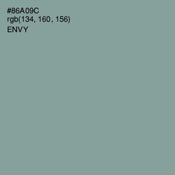 #86A09C - Envy Color Image