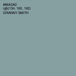 #86A0A2 - Granny Smith Color Image