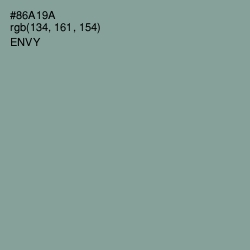 #86A19A - Envy Color Image