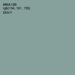 #86A19B - Envy Color Image