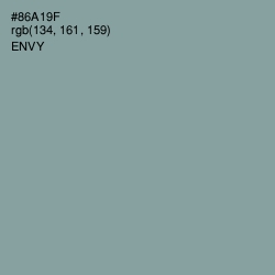 #86A19F - Envy Color Image