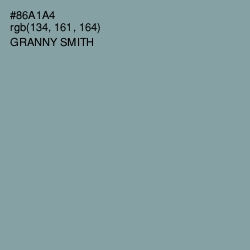 #86A1A4 - Granny Smith Color Image