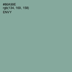 #86A99E - Envy Color Image