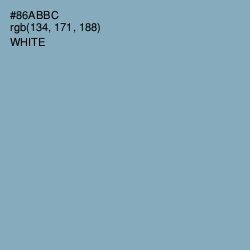 #86ABBC - Gulf Stream Color Image