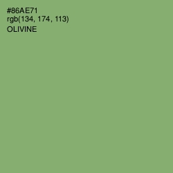 #86AE71 - Olivine Color Image