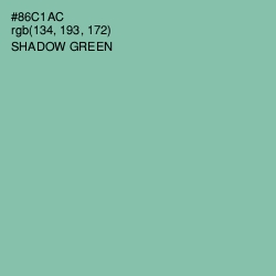 #86C1AC - Shadow Green Color Image