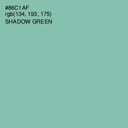 #86C1AF - Shadow Green Color Image