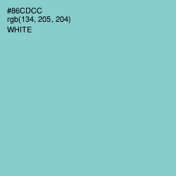 #86CDCC - Half Baked Color Image