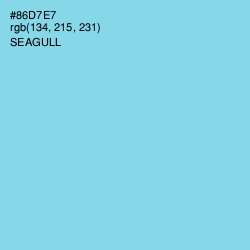 #86D7E7 - Seagull Color Image