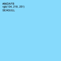#86DAFB - Seagull Color Image