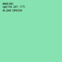 #86E3B1 - Algae Green Color Image