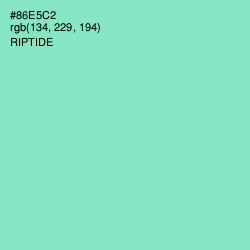 #86E5C2 - Riptide Color Image