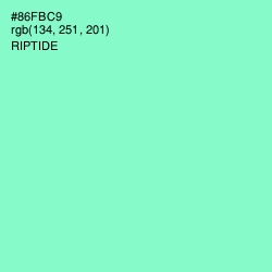 #86FBC9 - Riptide Color Image