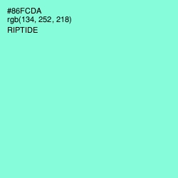 #86FCDA - Riptide Color Image