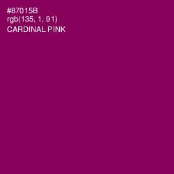 #87015B - Cardinal Pink Color Image