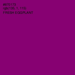 #870173 - Fresh Eggplant Color Image