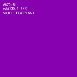 #8701B1 - Violet Eggplant Color Image