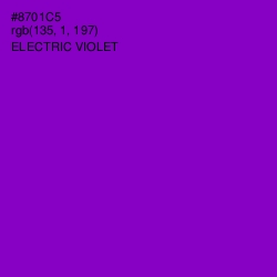 #8701C5 - Electric Violet Color Image