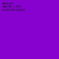 #8701CF - Electric Violet Color Image