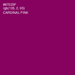 #87025F - Cardinal Pink Color Image