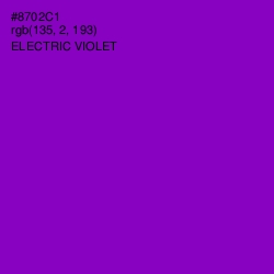 #8702C1 - Electric Violet Color Image