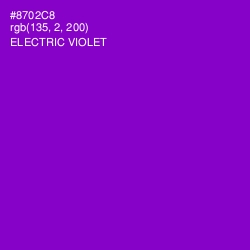 #8702C8 - Electric Violet Color Image