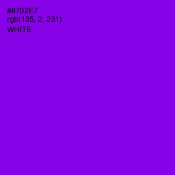 #8702E7 - Electric Violet Color Image