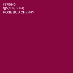#870640 - Rose Bud Cherry Color Image