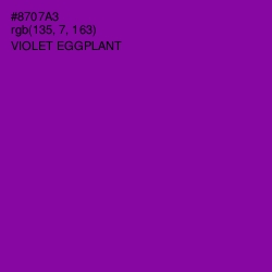 #8707A3 - Violet Eggplant Color Image