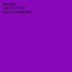 #8707B9 - Violet Eggplant Color Image